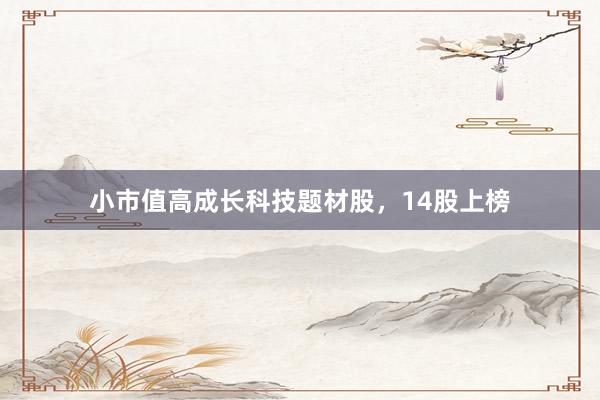 小市值高成长科技题材股，14股上榜