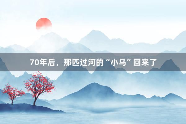 70年后，那匹过河的“小马”回来了
