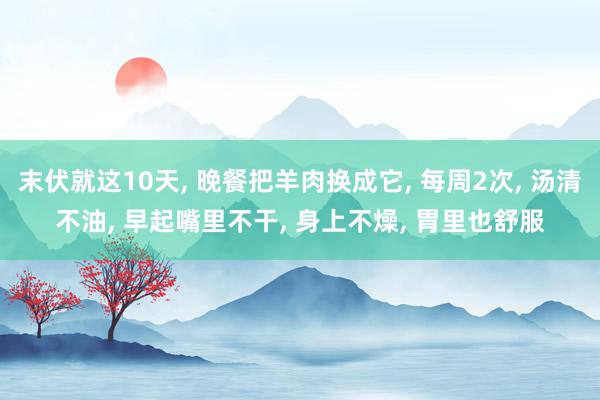 末伏就这10天, 晚餐把羊肉换成它, 每周2次, 汤清不油, 早起嘴里不干, 身上不燥, 胃里也舒服