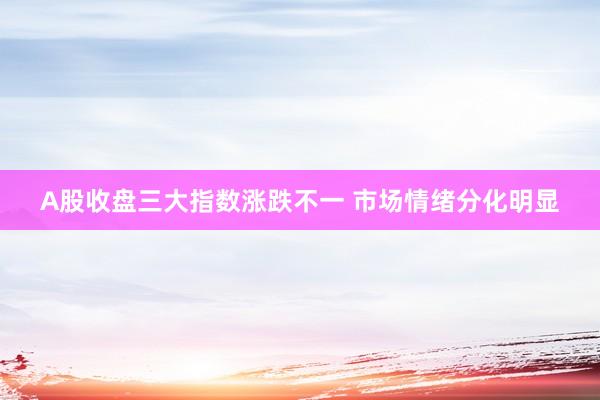 A股收盘三大指数涨跌不一 市场情绪分化明显