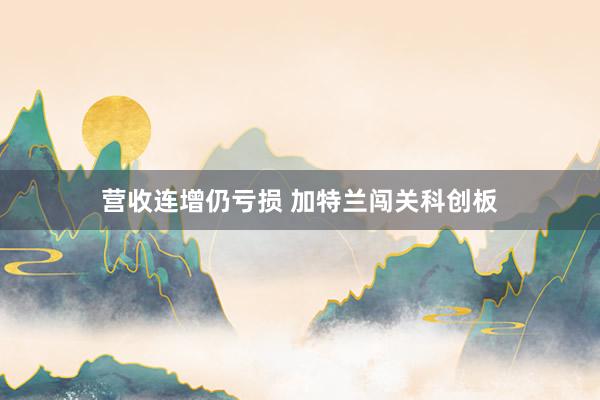 营收连增仍亏损 加特兰闯关科创板