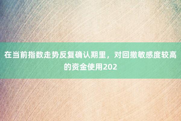 在当前指数走势反复确认期里，对回撤敏感度较高的资金使用202
