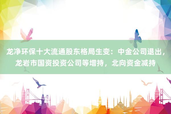 龙净环保十大流通股东格局生变：中金公司退出，龙岩市国资投资公司等增持，北向资金减持