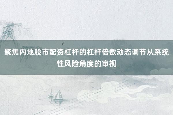 聚焦内地股市配资杠杆的杠杆倍数动态调节从系统性风险角度的审视