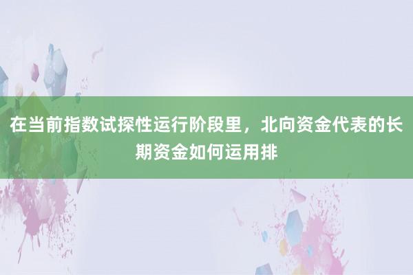 在当前指数试探性运行阶段里，北向资金代表的长期资金如何运用排