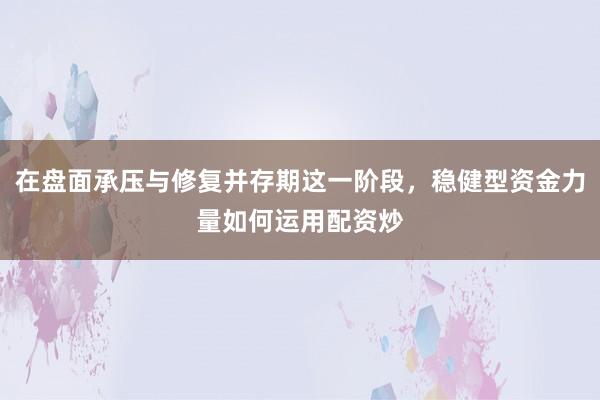 在盘面承压与修复并存期这一阶段，稳健型资金力量如何运用配资炒