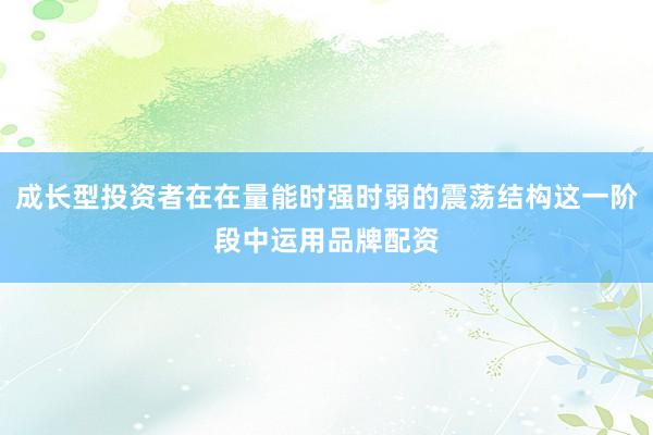 成长型投资者在在量能时强时弱的震荡结构这一阶段中运用品牌配资