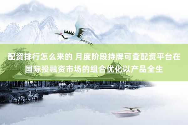 配资排行怎么来的 月度阶段持牌可查配资平台在国际投融资市场的组合优化以产品全生