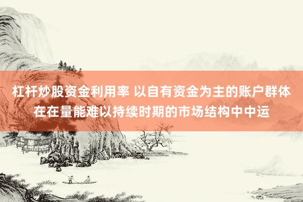 杠杆炒股资金利用率 以自有资金为主的账户群体在在量能难以持续时期的市场结构中中运