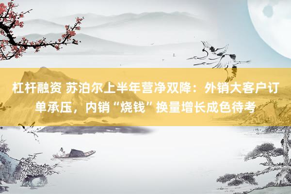 杠杆融资 苏泊尔上半年营净双降：外销大客户订单承压，内销“烧钱”换量增长成色待考