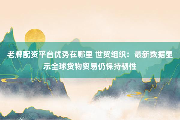 老牌配资平台优势在哪里 世贸组织：最新数据显示全球货物贸易仍保持韧性
