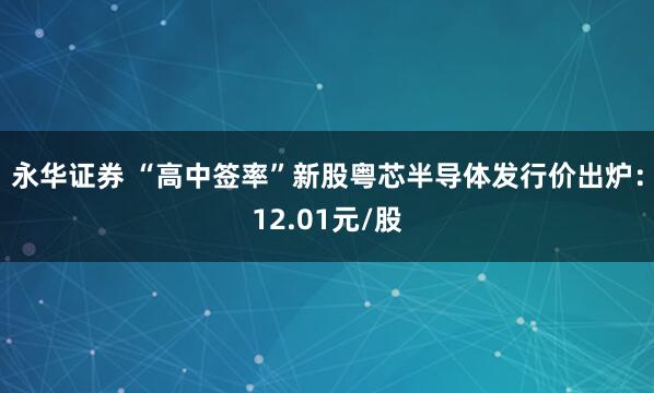 永华证券 “高中签率”新股粤芯半导体发行价出炉：12.01元/股